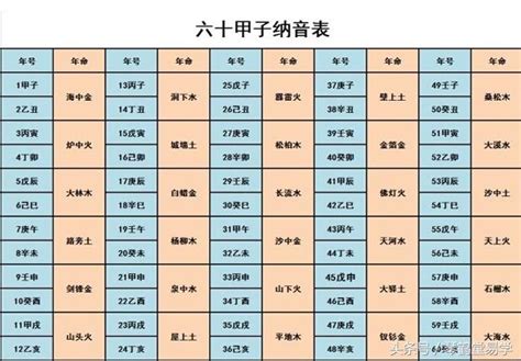 2024年生肖五行|2024年生肖五行纳音详解，运势如何？